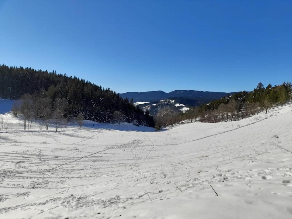 Les Glovettes Villard De Lans Εξωτερικό φωτογραφία